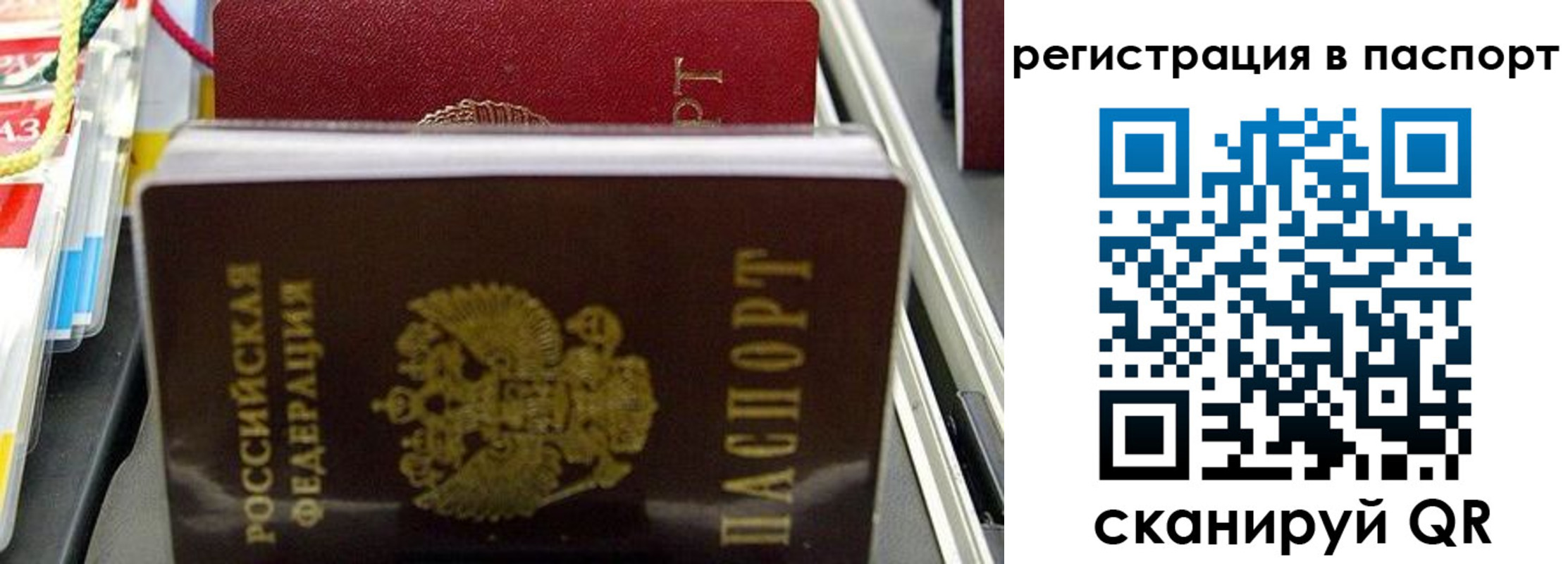 прописка для школы в Сасово